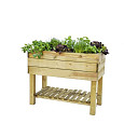 Minigarden robuust grenen 80x100x50cm (HxBxD), groen geïmpregneerd