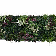 Aslon® Green Wall 50 x 50 cm Element Tropic B