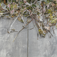 GeoCeramica®2Drive 30x60x6cm Timber Grigio