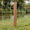 Hardhouten Azobé Paal geschaafd met V-groef gepunt 8,5x8,5x300cm