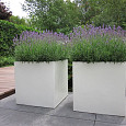 Carrez MET WIELEN 1500x500x600mm Polyester (PBWL22.1)