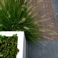 Gebakken waalformaat Wolvega 200x50x60 getrommeld