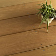 Terrasplank Bangkirai 24x70mm glad/glad geschaafd Premium P410 | 244cm