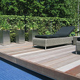Terrasplank Mukulungu - Afrikulu 25x145mm glad Premium P410 | 155cm