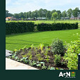 Kunstgras Evergreen 50 - 2 meter breed