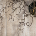 GeoCeramica® 30x120x4cm Timber Tortera