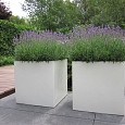 CARREZ met bodem 1200x1200x600mm Polyester (PB4.2)