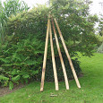 Bamboepaal 300cm Ø10-12cm
