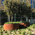 Circum Ø800x800mm Corten (CT6.1)