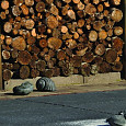 Abbeystones 30x40x6cm Nero met deklaag