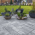Everton Camelot paving wave Wildverband XL 8 cm Gothic