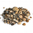 Schelpen 8-16mm 15Ltr