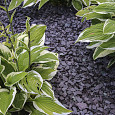 Canadian Slate Violet 10-30mm 20kg