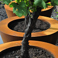 Conic MET POTEN Ø2000x800mm Corten 3mm (CCP1.1)