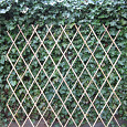Harmonica Bamboe Trellis 180x180cm