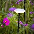 Solitary SWAY LIGHT HEAD PEARL GREY