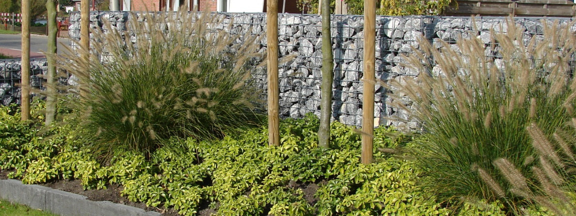 1857 webshop banner steenkorf