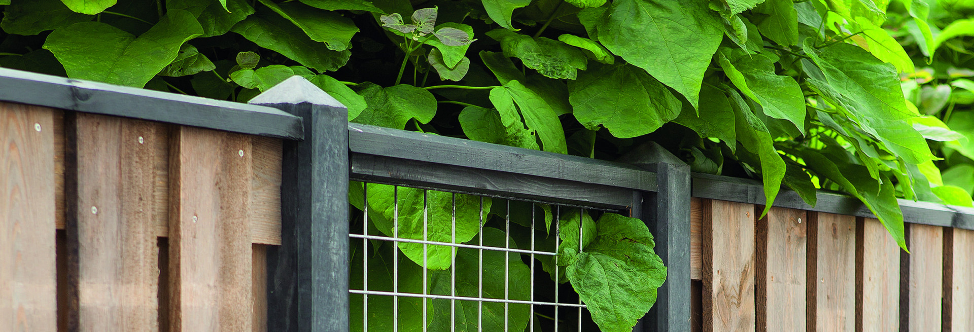 banner tuindeco origineel (9)