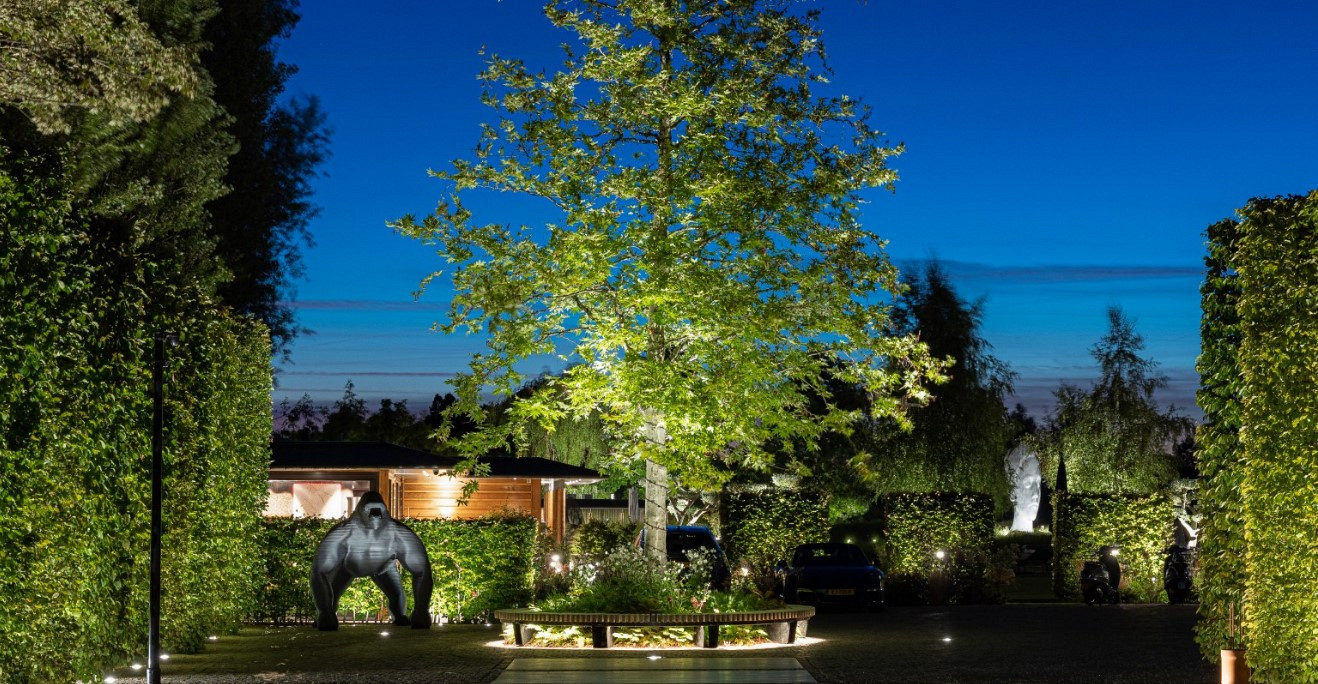 blog banner foto sfeer boomverlichting 2