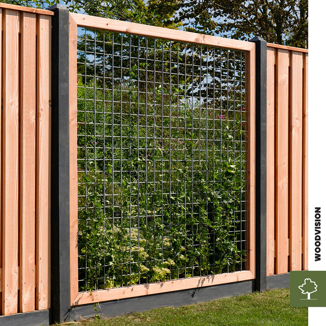 woodvision douglas scherm en betonijzertrellis w42001