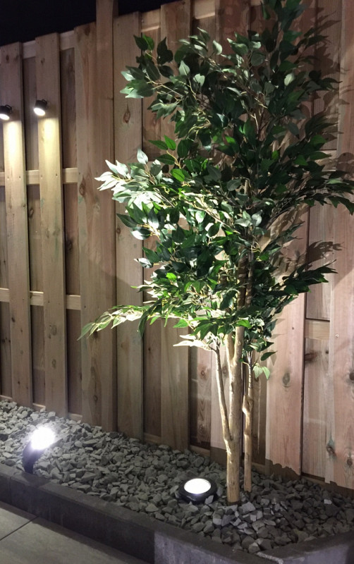 binnnentuin donkere kamer (5)