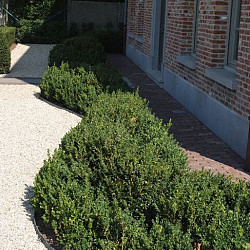 Ecoborder® Flex Grey rol 25 m. 25000x200x7mm