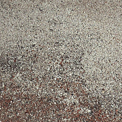 Eliton XXS Linea 30x60x4cm Kilimanjaro