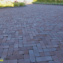 Gebakken dikformaat 65 mm Vaals getrommeld | OP=OP