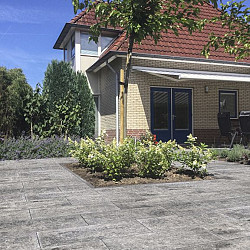 Smartton SE XXS 40x80x4cm Amiata