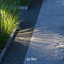 Solitary ACE HIGH DARK