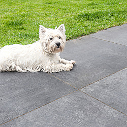 GeoCeramica® 60x60x4cm Ambiente Antracite