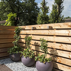 Icy Blue split 8-16mm 20kg