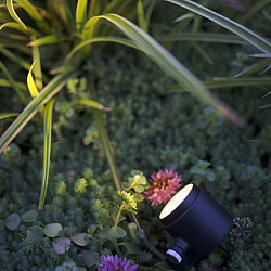 Spot MINI SCOPE PRO PACK