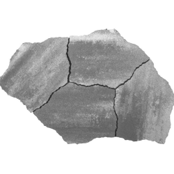 GeoArdesia Alivo elba (6 cm)