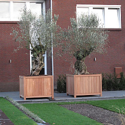 Valencia 600x600x600mm Hardhout 21mm (HR8)