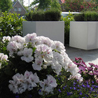 CARREZ met bodem 1200x1200x600mm Polyester (PB4.2)