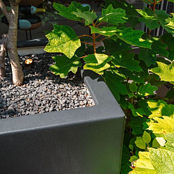 CARREZ met bodem 400x400x800mm Polyester (PB10.2)