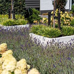 CARREZ met bodem 400x400x1000mm Polyester (PB10.3)