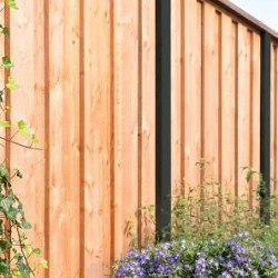 Beto-dichtplankscherm van fijnbezaagde Douglas planken 180x180cm