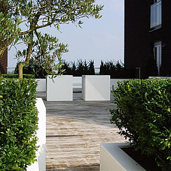 CARREZ met wielen 800x800x400mm Polyester (PBWL6.3)