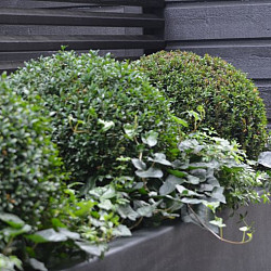 CARREZ met wielen 1500x500x600mm Polyester (PBWL22.1)