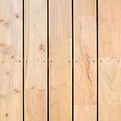 Terrasplank Robinia 22x120mm glad/glad P417 gevingerlast 400cm