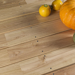 Terrasplank Robinia 22x120mm glad/glad P417 gevingerlast 400cm