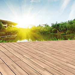 Terrasplank Robinia 22x120mm glad/glad P417 gevingerlast 400cm