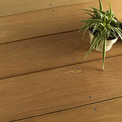 Terrasplank Bangkirai 28x95mm glad/glad geschaafd Premium P410 | 366 cm