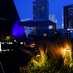 Spot SMART SCOPE TONE