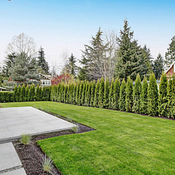 Artistone Oud Hollandse Tegel 240x60x12cm Grijs