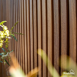 Thermovision Ayous geschaafd triple profiel 2x14x245cm (pak 4 st)