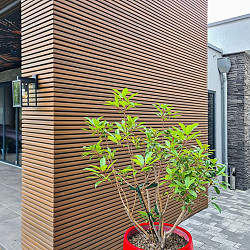 WEO®35 Gardenwall | brandklasse E | 33 x 170 mm | Ipé | 390cm