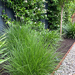 Kantopsluiting Double (flg) 300x10cm Corten